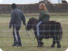 Ponnyreiten