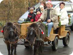 Kutschenfahrten