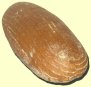 Hausbrot