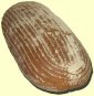 Landbrot