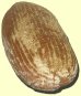 Mitterteicher Landbrot